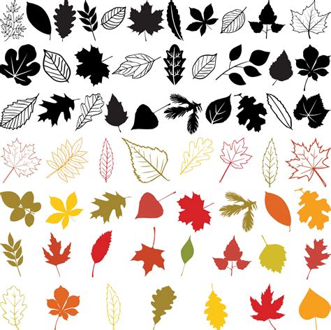 Autumn Leaves SVG Bundle Autumn Svg Fall Svg Bundle Fall - Etsy