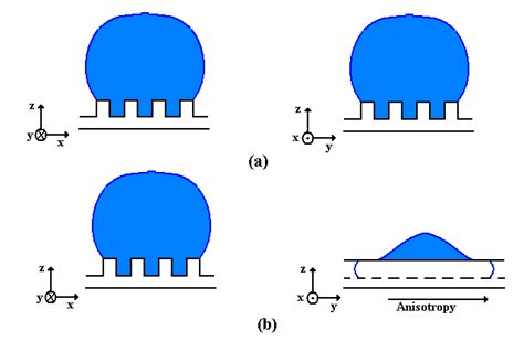 7: Difference between an isotropic surface (a) and an anisotropic ...