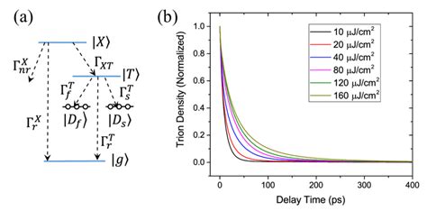 A The Energy Level Diagram Showing The Exciton And Trion Decay