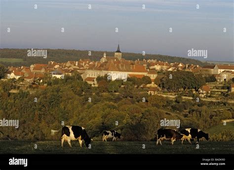 France Cote D Or Flavigny Sur Ozerain Labelled Les Plus Beaux