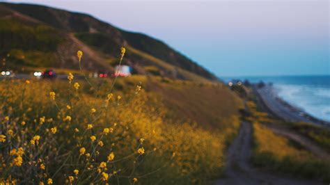 Free Images Landscape Sea Coast Nature Grass Ocean Horizon