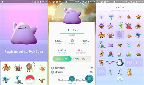 How To Catch A Ditto Pokemon Go 2024 Betsy Charity