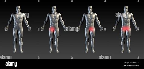 Menschliche Leistengegend Fotos Und Bildmaterial In Hoher Aufl Sung