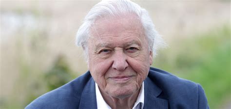 Individual Award: Sir David Attenborough - The Peabody Awards