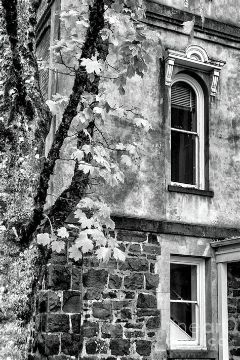 Pioneer Hall Black And White Photograph By Jack Andreasen Fine Art