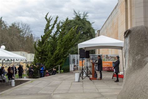 Museum Renovation And Expansion Is Underway Reimagined Reinstalled