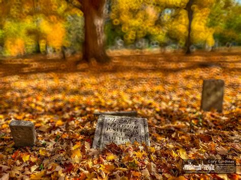 Cemetery Autumn My Final Photo