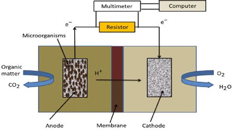 Schematic Diagram Of A Two Chamber Microbial Fuel Cells Mfcs Pem