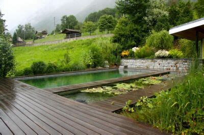 Piscine Naturelle Ou Biologique Pour Une Baignade Cologique