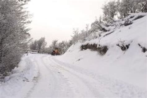 Informe diario Transitar por Ruta Nacional N3 con extrema precaución