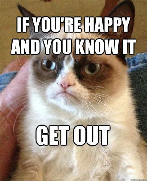 Grumpy Cat Birthday Quotes. QuotesGram