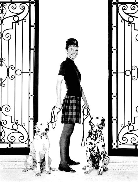 Classic Audrey Hepburn Porn Pictures XXX Photos Sex Images 316602 PICTOA