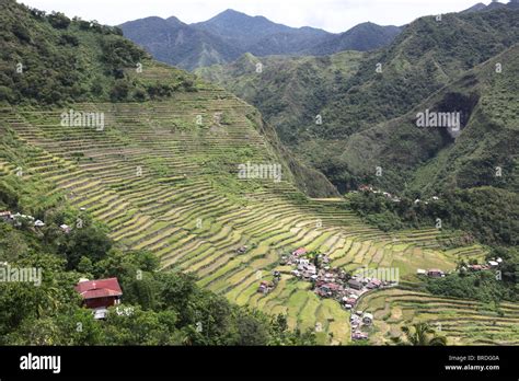 Ancient Rice Terraces Of Banaue Stock Photo Alamy