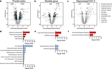 Differential Proteomic Expression Analyses In Frontal Cortex Dentate