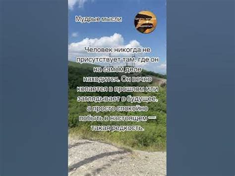 Мудрые мысли: Часто человек … #мудрыеслова #мудрыецитаты #мудрыесоветы ...