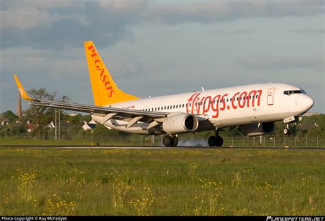 TC AAR Pegasus Boeing 737 86N WL Photo By Ray McFadyen ID 391695