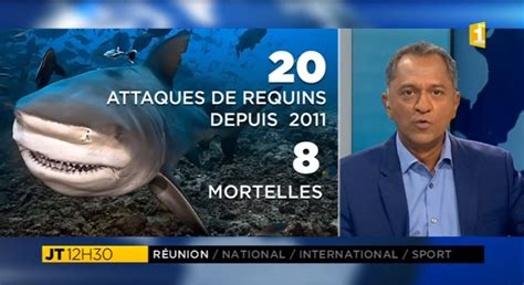 Nouvelle Attaque De Requin La Reunion Un Bodyboardeur D C D