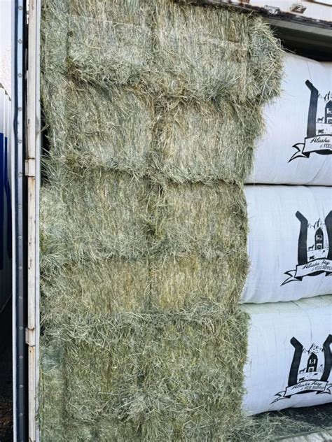 Alaska Hay And Feed Supply