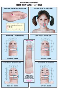 Teeth And Gums Sujok Prescription 8 Learn Self Healing Techniques Online