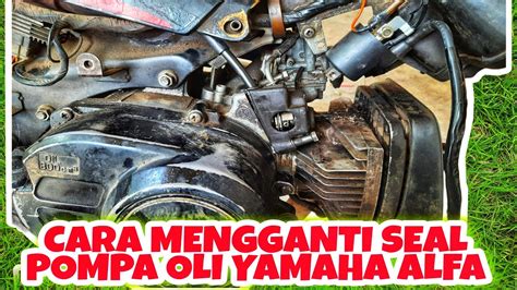 Cara Mengganti Seal Pompa Oli Yamaha Alfa Yamahaalfa Youtube