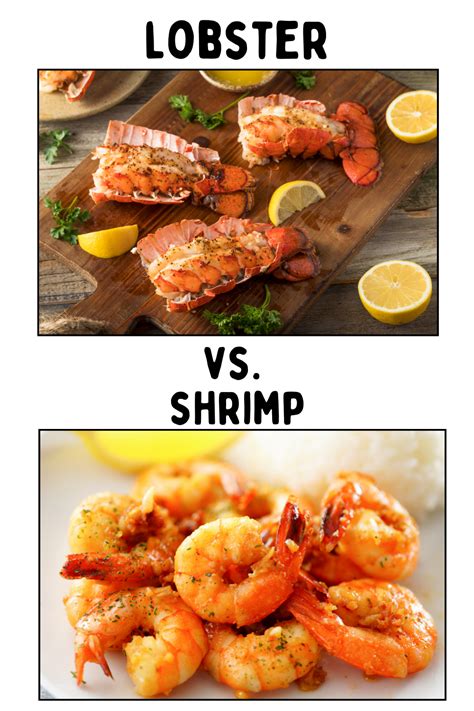 Lobster vs Shrimp: Difference Between Seafood Guide - A Sparkle of Genius