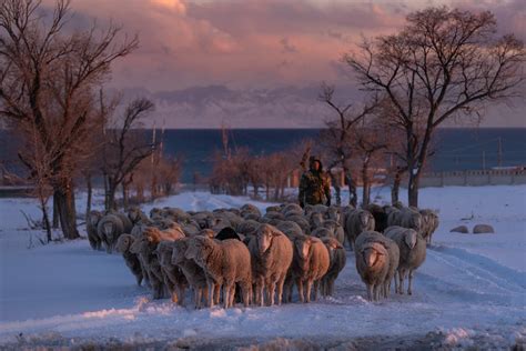 Winter Travel In Kyrgyzstan The Ultimate Guide Lost With Purpose