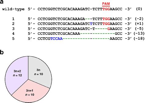 Crisprcas9 Mediated Mutations In The Satb2 Locus A Representative Download Scientific