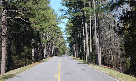 Natchez Trace Parkway Scenery Kosciusko Mississippi