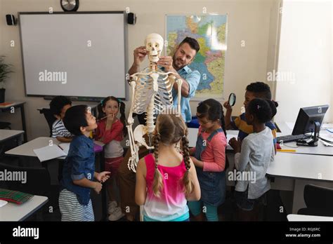 Anatomie Masculine Chez Les Adolescentes Banque De Photographies Et D