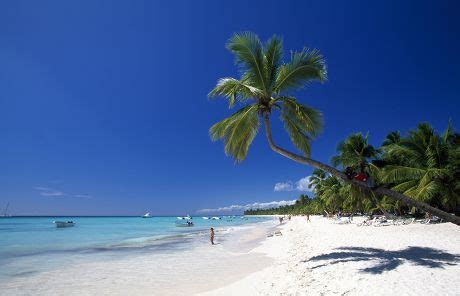 50 Saona island Stock Pictures, Editorial Images and Stock Photos ...