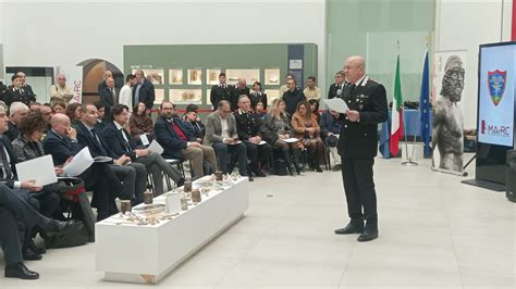 Illeciti Ambientali Ecco Il Bilancio Dei Carabinieri Forestali