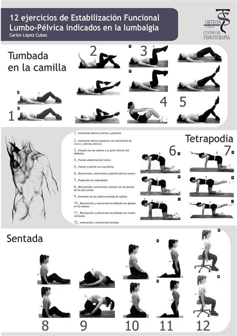 Ejercicios De Columna Osteon Alaquàs Centro De Fisioterapia