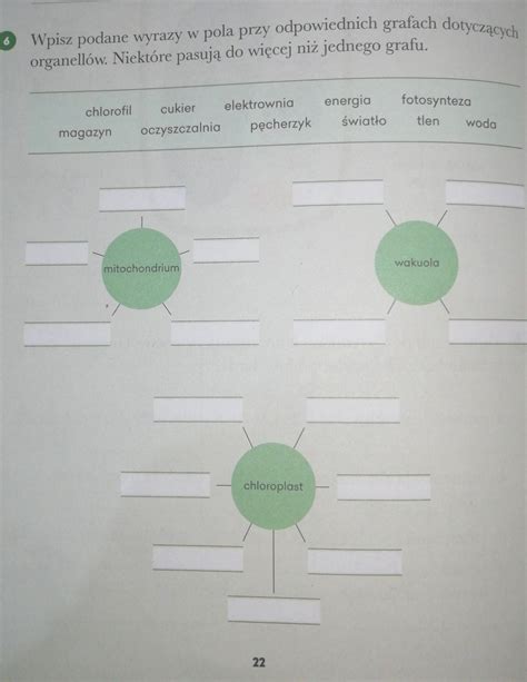 Wpisz Podane Wyrazy W Pola Przy Odpowiednich Grafach Dotycz Cych