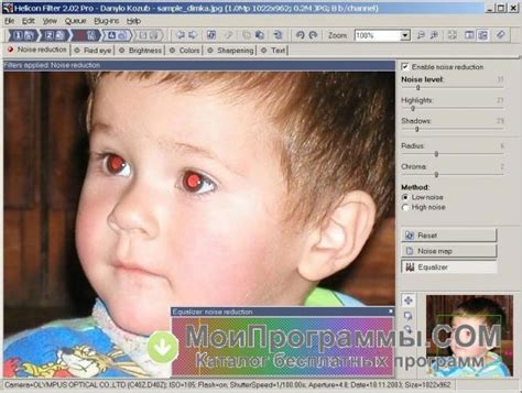 helicon filter skachat besplatno russkaya versiya dlya windows