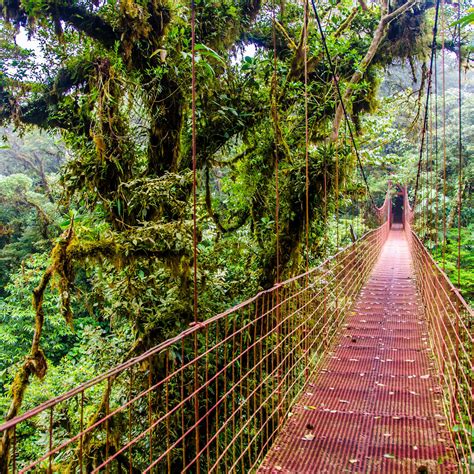 Costa Rica Rainforests