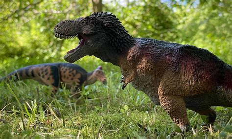 Velociraptor vs Tsintaosaurus : DinoToys