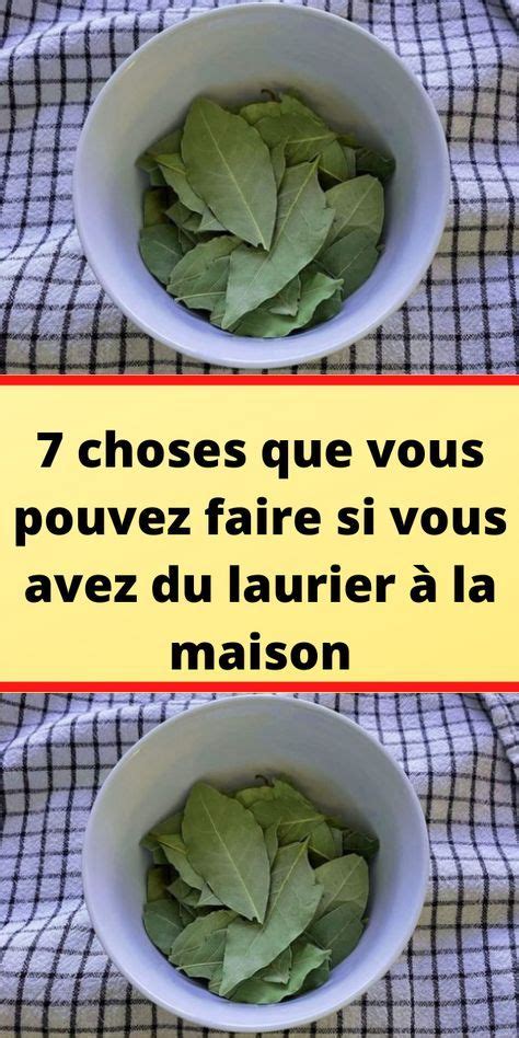 Choses Que Vous Pouvez Faire Si Vous Avez Du Laurier La Maison