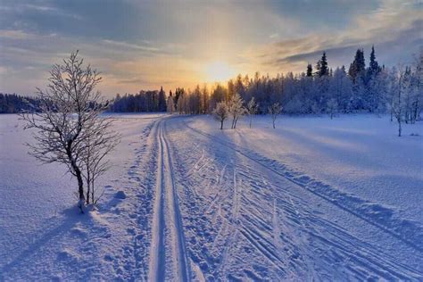 20 Mesmerizing Winter Wonderland Photos of Finland - 2024