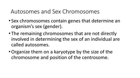 Karyotypes Bio Predict Offspring Ratios Based On A Variety Of