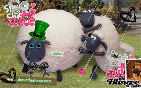 shaun the sheep shirley Picture #128351153 | Blingee.com