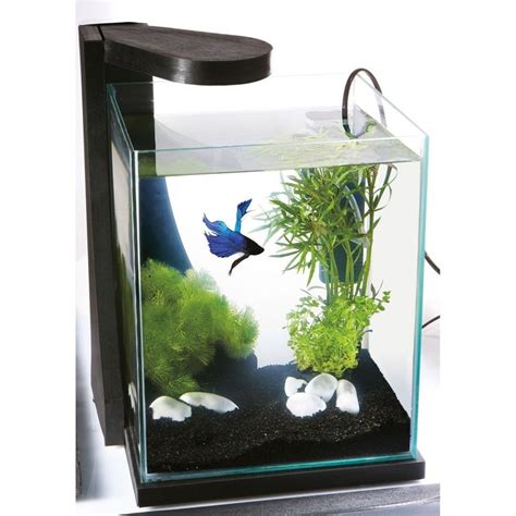 Правила при обслуживании аквариумов. Аквариумная помощь