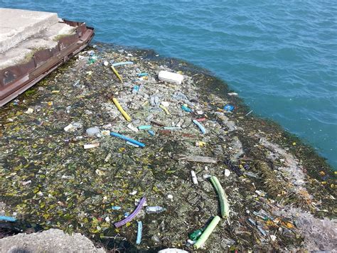 Humans Are Putting 8 Million Metric Tons Of Plastic In The Oceans