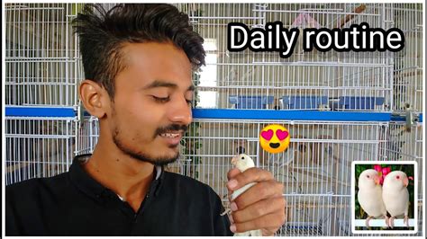 How To Take Care Of Birds Birds Daily Routine With All My Crazy