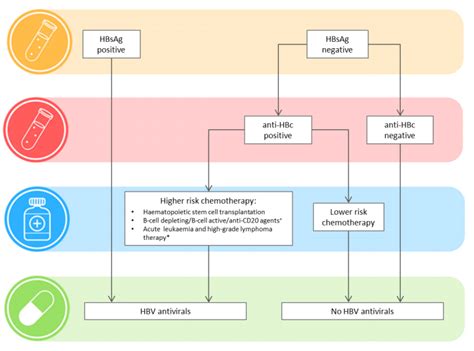 Hepatitis B Flowchart