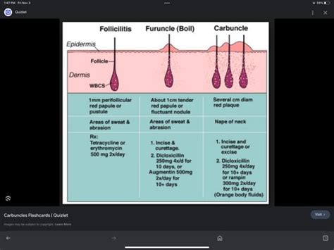 Common Skin Conditions Related to Skin Diseases and Disorders ...