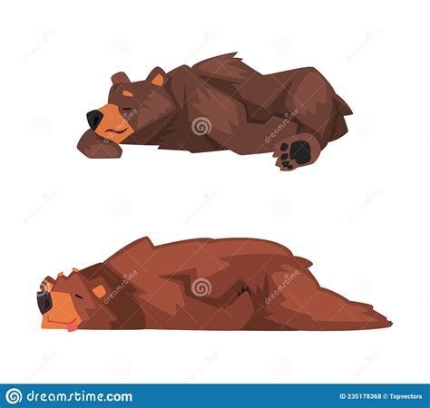 Wild Brown Grizzly Bear As Forest Habitant Lying And Sleeping Vector