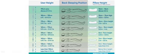 What Is The Standard Size Of A Lumbar Pillow