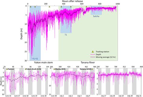 Swimming Depths And Water Temperatures Encountered By Radio‐archival