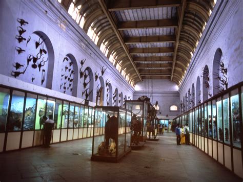 The Indian Museum, Calcutta - India Travel Forum | IndiaMike.com