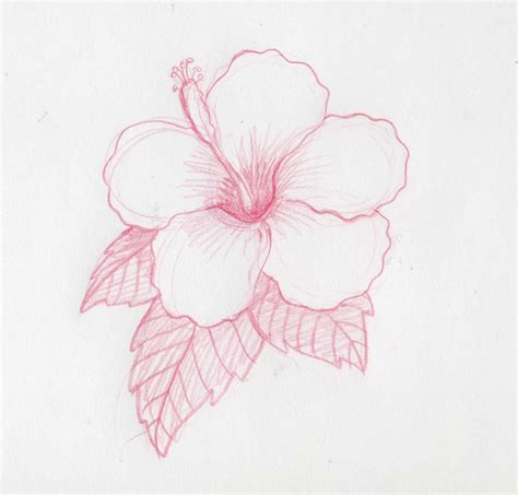 Flores Dibujo Facil